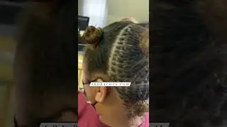 Micro Braidlocs