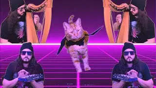 Lo-fi Synth Harp / Trip Hop / Hip Hop - beats to pet cats to