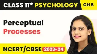 Perceptual Processes - Sensory, Attentional & Perceptual Processes | Class 11 Psychology Chapter 5