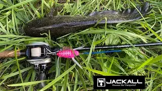ジャッカルの新作ルアーナジークローラーとお気に入りのヒゲダンサーでナマズ釣り！ルアーは素晴らしいけどアレが弱すぎる