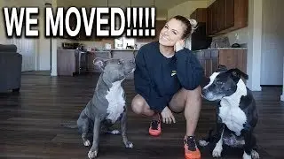 WE MOVED! House Tour & Life Update