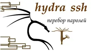 hydra, часть 1  ssh bruteforce
