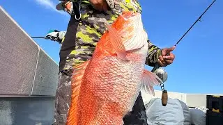 Full day trip in Port Fourchon, Louisiana with Down the Bayou charters
