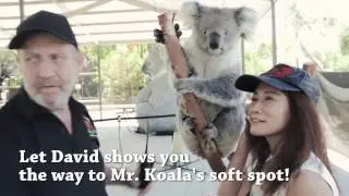 Perth Guide - Caversham Wildlife Park