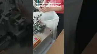 Automatic Metal Clip Spring Install Machine