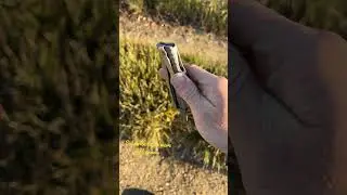 Gravity Knife Tricks