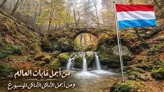 من أجمل غابات العالم في لوكسمبورغ