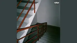 По норам