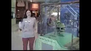 Robot Zoo