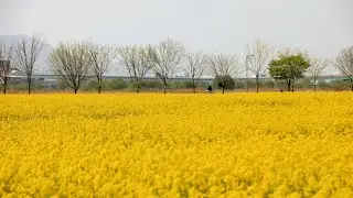 타향의봄_김윤길