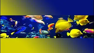 Amazing Hand Fishing live 2022 Fastest fishing
