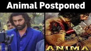 animal Postponed news ! #filmibhai #animal
