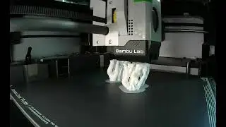 Printing of domains in Fibrillin-1 protein