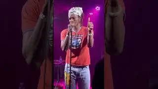Tom The Mailman - Brown Eyes and Backwoods live