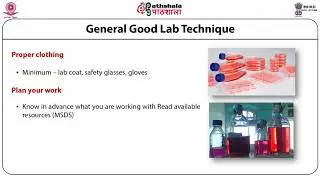 Biosafety issues in animal cell biotechnology