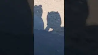 Baikeriu daina Plieno žirgas