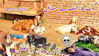Goat Farming Problem's ✌️Ahmad&rsquo;s Big Mistake Can take his Life 🫣