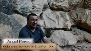 1994, ESTIU DE FOC