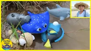 See The Stingray Eating Rhino At the Small Leak #40