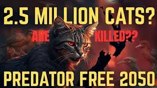 New Zealand&rsquo;s Shocking Plan: 2.5 Million Feral Cats to Be Eliminated by 2050 | #trending 