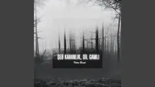 Şeb Karanlık, Dil Gamlı... (Special Piano & Clarinet Version)