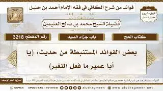 [3218] بعض الفوائد المستنبطة من حديث: (يا أبا عمير ما فعل النغير) - تعليقات على الكافي لابن عثيمين