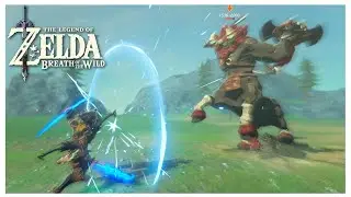 Red Lynel Speedkill