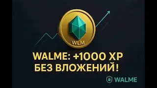 Airdrop от Walme БЕЗ ВЛОЖЕНИЙ! Пошаговый гайд по фарму XP для получения токенов WLM