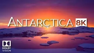 Beautiful Antarctica 8K UHD Dolby Vision Scenic Relaxing Video