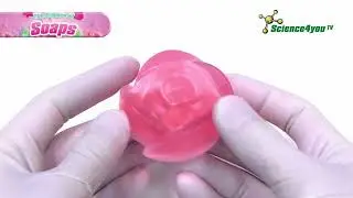 Моя лаборатория: мыловарение Science4you  The Science of Soaps