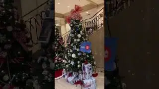 Fairmont Chateau Laurier Christmas trees in Ottawa
