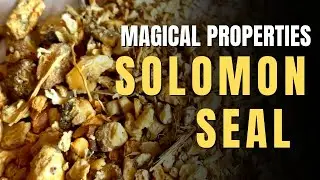 Solomon Seal Magical Properties