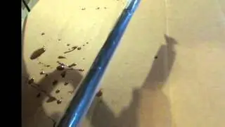 www.SollerComposites.com Clear Shrink Tube Video