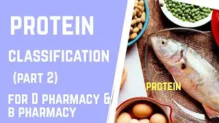 classification of protein in hindi//protein part 2// tecpharmacy//#protein #biochemistry #dpharmacy