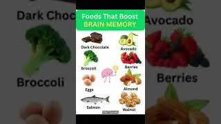 Top Foods That Boost Brain Memory & Focus