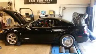Kennebell 2.8LC Mammoth 23lbs of boost