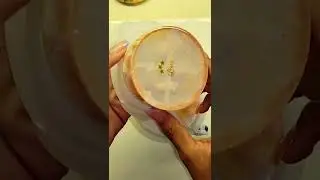 The Diary - Resin Art Scary Storytime with Results - Leo Zodiac Jar - Reddit Story u/lightingnations