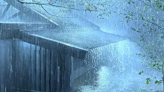 Soothing Relaxing Rain Sounds For Stress Relief - Peaceful In Foggy Forest, Rain Sound Natural