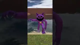 Catnap needs your help part2 (like)