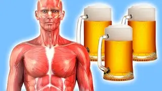 DAS passiert mit deinem K&ouml;rper, wenn du jeden Tag Bier trinkst!