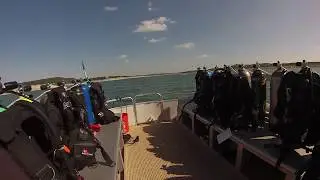 Diving Lake Travis