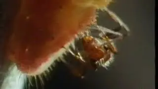 Geo 1989, 
