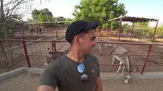 The RAK ZOO!! 🦧🐪