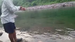 Ka jing wan khwai ha wah Rilang