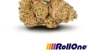 trulieve roll one (southern pound cake)30%thc 3.1 terps 😋 🧁 🍪 🍩 🍰 🍦 420
