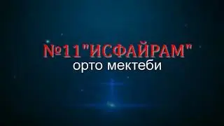 N11 