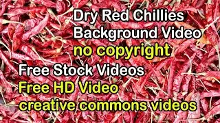 Dry Red Chillies Background Video | Free HD Video - no copyright | Free Video | Free Stock Videos
