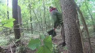 Деревенский хлопоты в промежутке дождя!!! #латвия #зерноуборочная