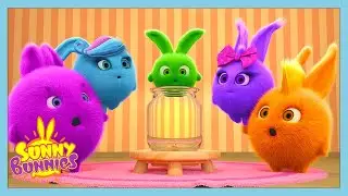 COOKIE JAR SONG! 🍪 🎵 | SUNNY BUNNIES SONGS | WildBrain Jam 🎶