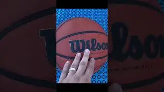 Wilson Evolution Basketball